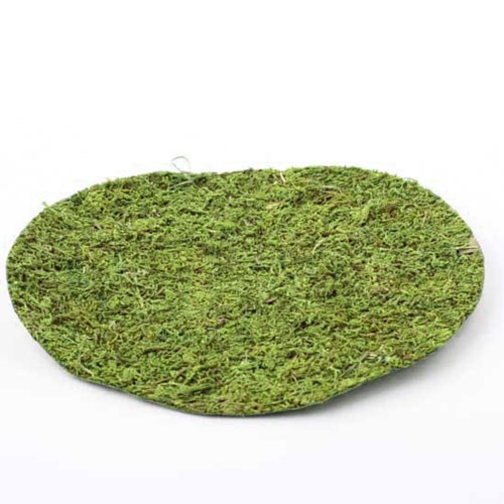 Moss Sheet Round Green 25cm Decorative Moss